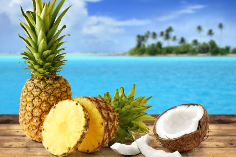 Se former en ligne en nutrition tropicale