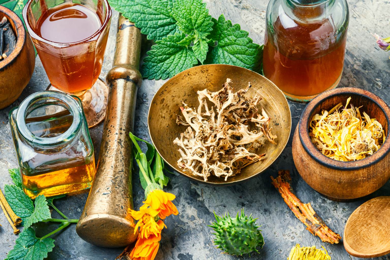 Cameroun – Formation en Phytothérapie Africaine