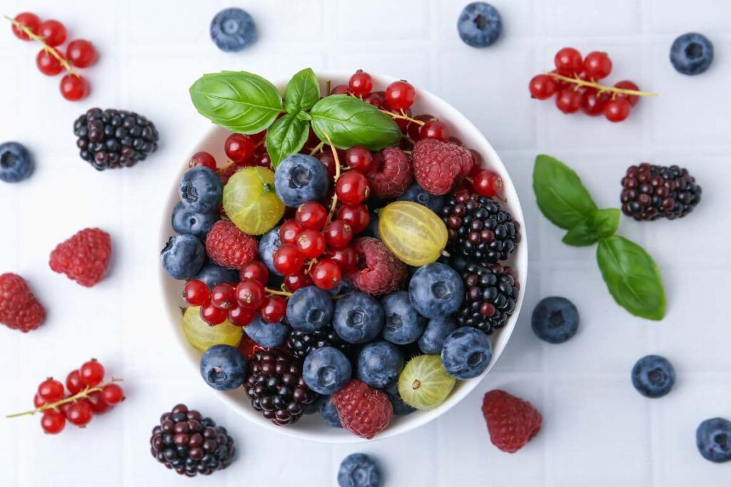 expert-detoxification, cours en ligne